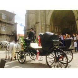 carruaje caballos boda, carro ceremonia, comunión evento Galicia