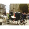 carruaje caballos boda, carro ceremonia, comunión evento Galicia