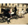 carruaje caballos boda, carro ceremonia, comunión evento Galicia