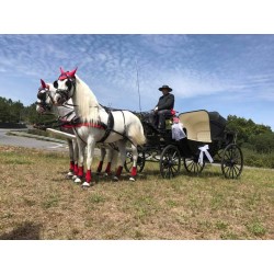 CASAMENTO 2 CAVALOS