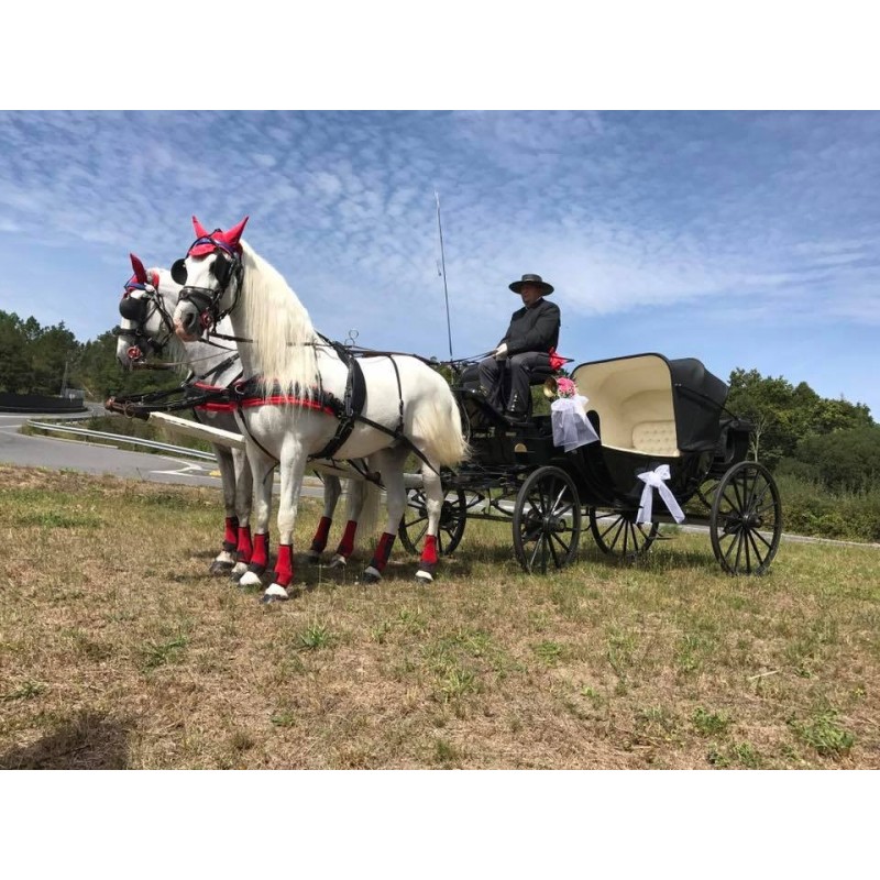 carruaje caballos boda, carro ceremonia, comunión evento Galicia