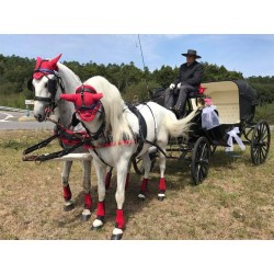 carruaje caballos boda, carro ceremonia, comunión evento Galicia