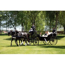carruaje caballos boda, carro ceremonia, comunión evento Galicia