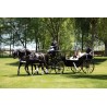 carruaje caballos boda, carro ceremonia, comunión evento Galicia