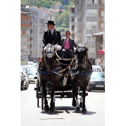 carruaje caballos boda, carro ceremonia, comunión evento Galicia