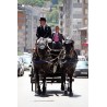 carruaje caballos boda, carro ceremonia, comunión evento Galicia