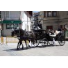carruaje caballos boda, carro ceremonia, comunión evento Galicia