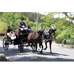 carruaje caballos boda, carro ceremonia, comunión evento Galicia