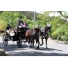 carruaje caballos boda, carro ceremonia, comunión evento Galicia