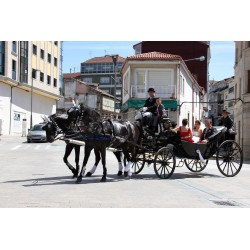 carruaje caballos boda, carro ceremonia, comunión evento Galicia