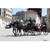 carruaje caballos boda, carro ceremonia, comunión evento Galicia