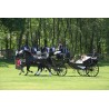 carruaje caballos boda, carro ceremonia, comunión evento Galicia
