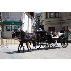 carruaje caballos boda, carro ceremonia, comunión evento Galicia