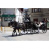carruaje caballos boda, carro ceremonia, comunión evento Galicia