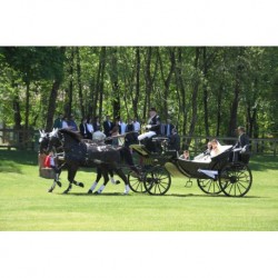 carruaje caballos boda, carro ceremonia, comunión evento Galicia