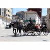 carruaje caballos boda, carro ceremonia, comunión evento Galicia
