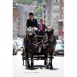 carruaje caballos boda, carro ceremonia, comunión evento Galicia