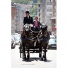 carruaje caballos boda, carro ceremonia, comunión evento Galicia