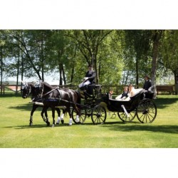 carruaje caballos boda, carro ceremonia, comunión evento Galicia