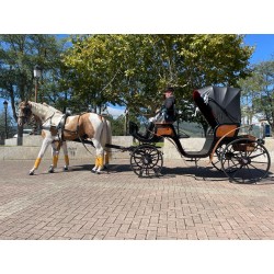 carruaje caballos bodas, carro ceremonia, challet, comunión, evento
