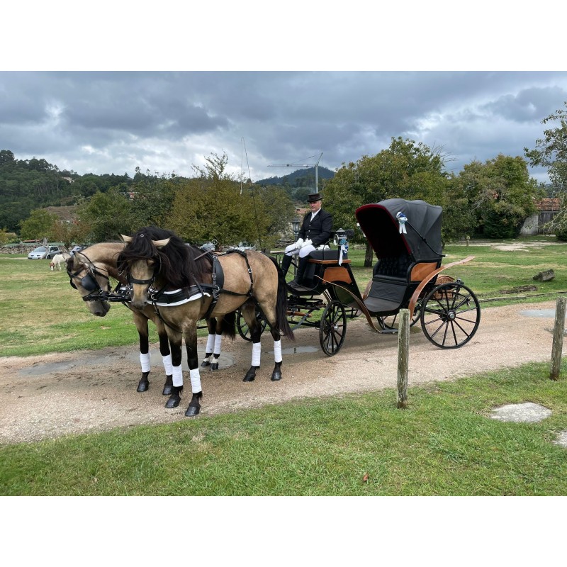 carruaje caballos bodas, carro ceremonia, challet, comunión, evento
