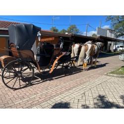 carruaje caballos bodas, carro ceremonia, challet, comunión, evento