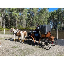 carruaje caballos bodas, carro ceremonia, challet, comunión, evento