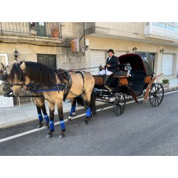 carruaje caballos bodas, carro ceremonia, challet, comunión, evento