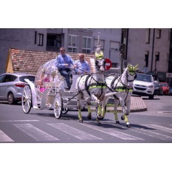 Coche De Caballos Cinderella