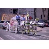 Coche De Caballos Cinderella