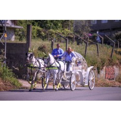 Coche De Caballos Cinderella