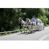 Coche De Caballos Cinderella