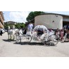 Coche De Caballos Cinderella
