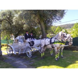 Coche De Caballos Cinderella
