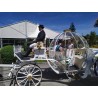 Coche De Caballos Cinderella