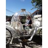 Coche De Caballos Cinderella