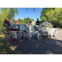 Coche De Caballos Cinderella