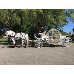 Coche De Caballos Cinderella