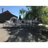 Coche De Caballos Cinderella