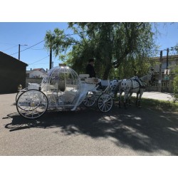 Coche De Caballos Cinderella