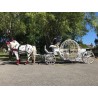 Coche De Caballos Cinderella