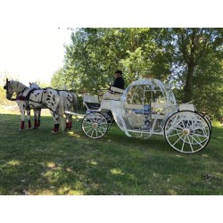 Coche De Caballos Cinderella