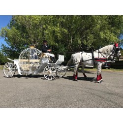 Coche De Caballos Cinderella
