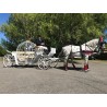 Coche De Caballos Cinderella