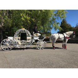 Coche De Caballos Cinderella
