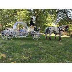 reportaje boda caballos, fotos, fotografías, alquiler, original