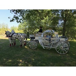 reportaje boda caballos, fotos, fotografías, alquiler, original