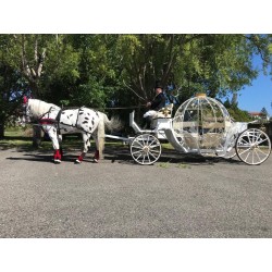Coche De Caballos Cinderella