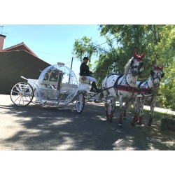 Coche De Caballos Cinderella