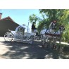 Coche De Caballos Cinderella